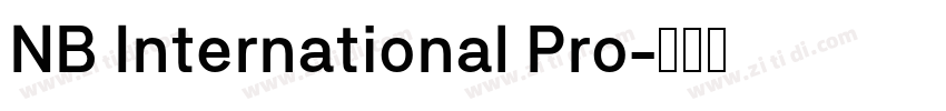 NB International Pro字体转换